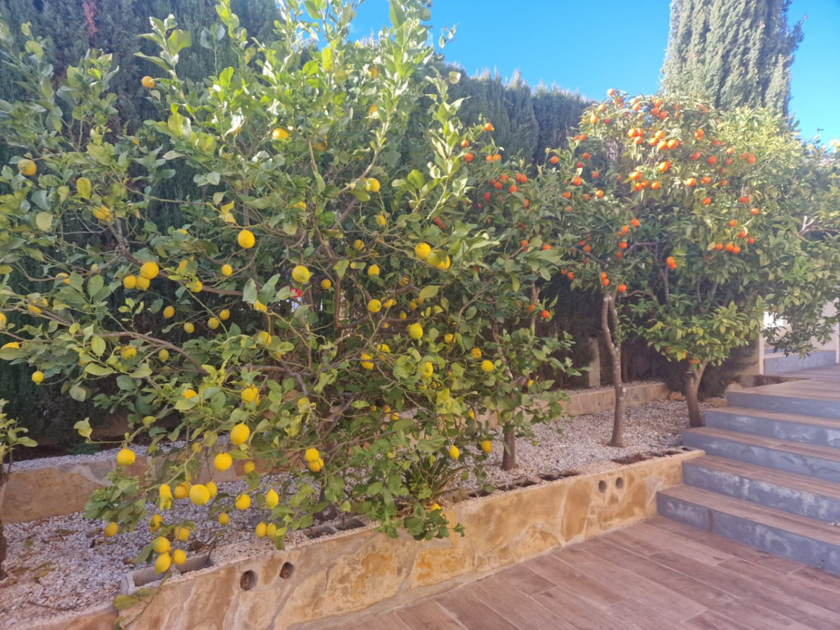 Se vende Villa - Chalet de 3 dormitorios en Costa Blanca, Alicante, España