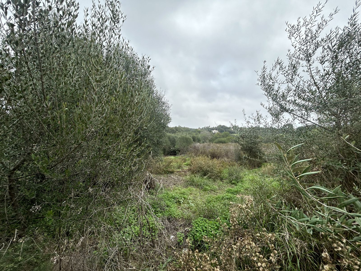 Se vende Terreno Urbano  en Costa Del Sol, Cadiz, España