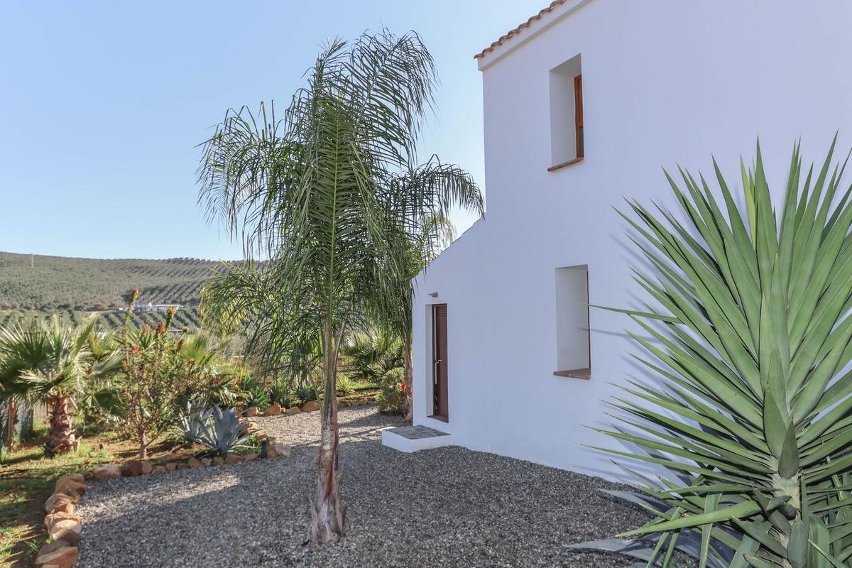 Se vende Cama y Desayuno de 8 dormitorios en Costa Del Sol, Málaga, España