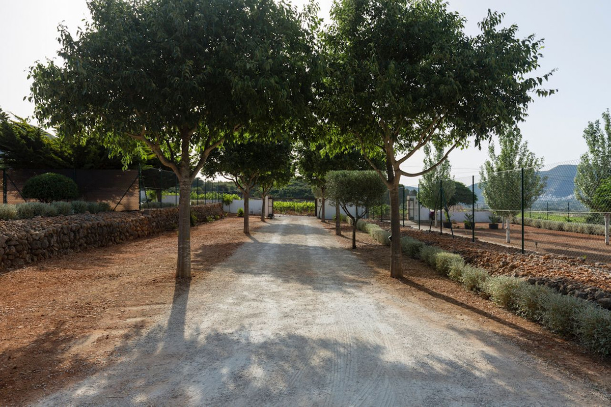12 Bed Townhouse for sale in Lliber Costa Blanca, Alicante, Spain