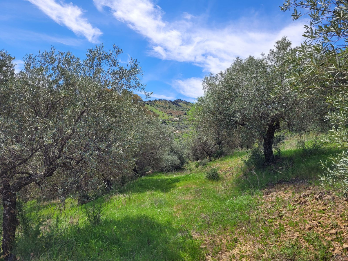 Se vende Terreno Rustico  en Costa Del Sol, Málaga, España