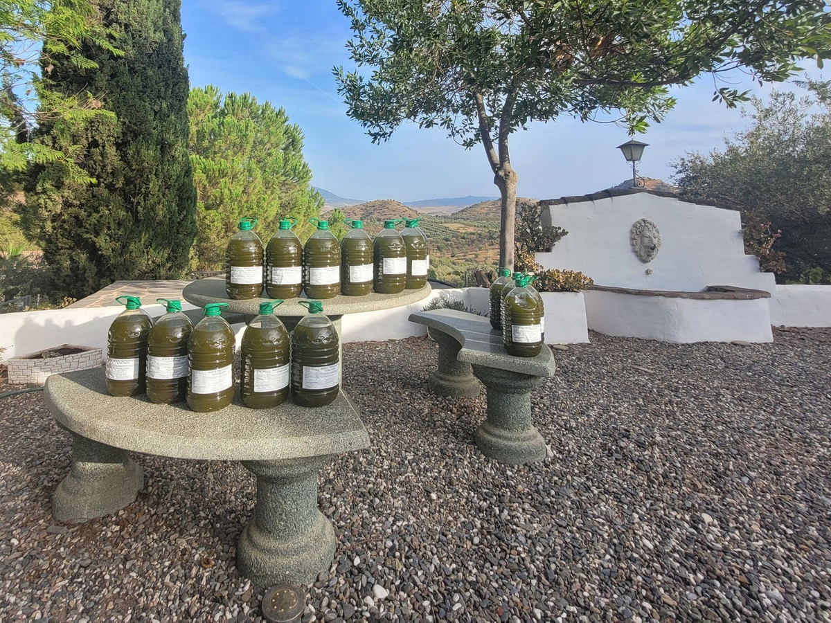 Se vende Terreno Rustico  en Costa Del Sol, Málaga, España