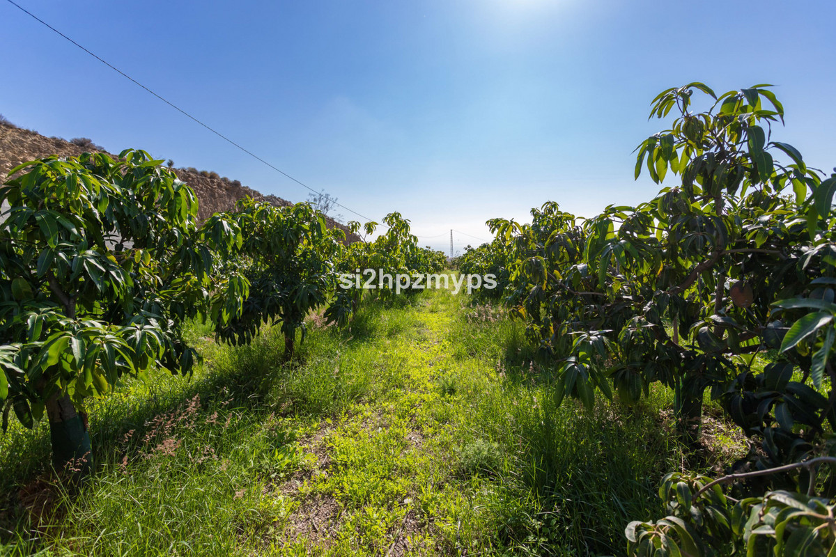 Se vende Villa - Chalet de 2 dormitorios en Costa Del Sol East, Málaga, España