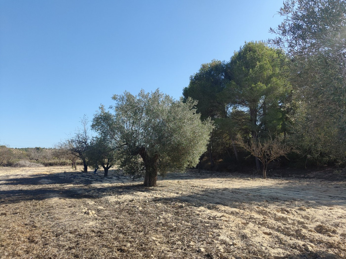 Plots for sale in Torremendo Costa Blanca, Alicante, Spain