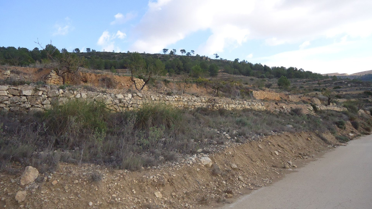 Se vende Terreno Rustico  en Costa Blanca, Alicante, España