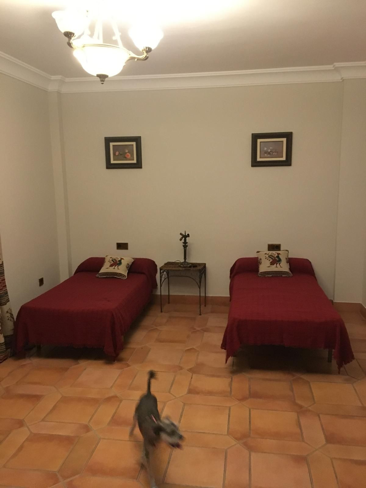Se vende Villa - Chalet de 4 dormitorios en Costa Del Sol, Málaga, España