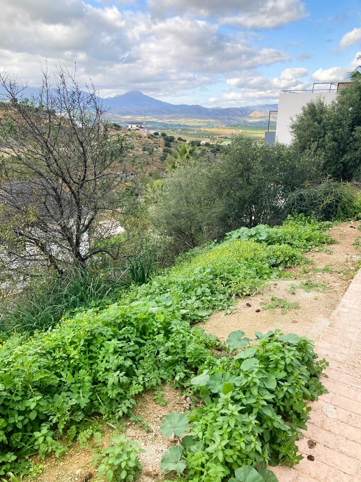Se vende Terreno Urbano  en Costa Del Sol, Málaga, España
