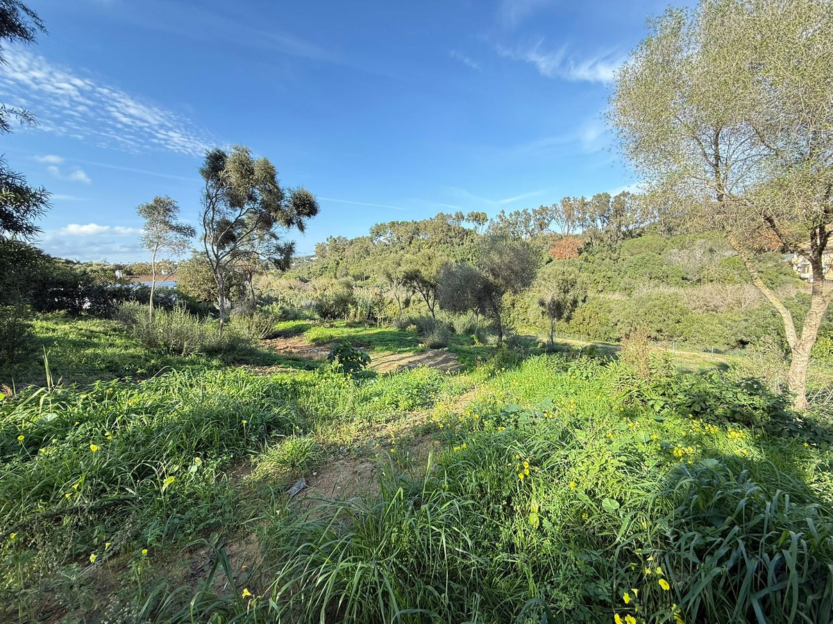 Plots for sale in Sotogrande Costa Del Sol, Cádiz, Spain