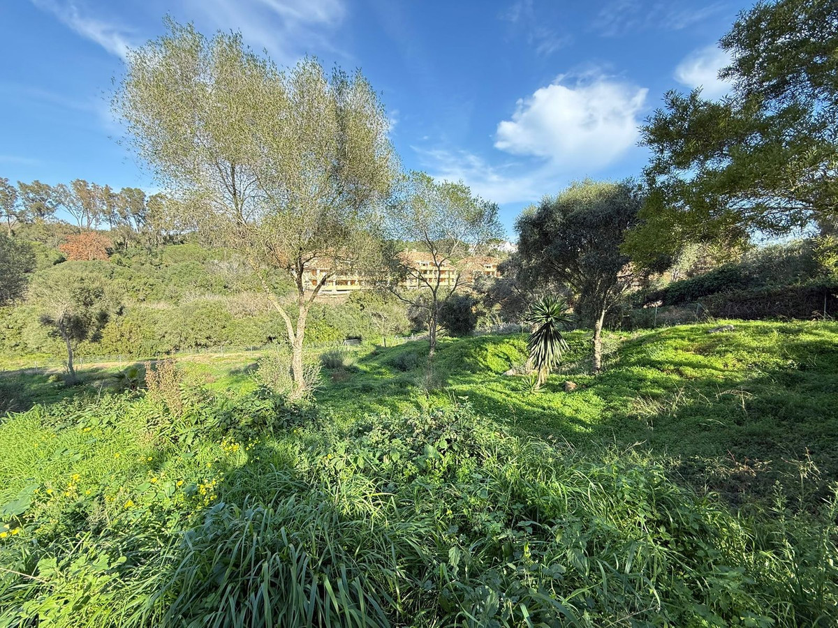 Plots for sale in Sotogrande Costa Del Sol, Cádiz, Spain