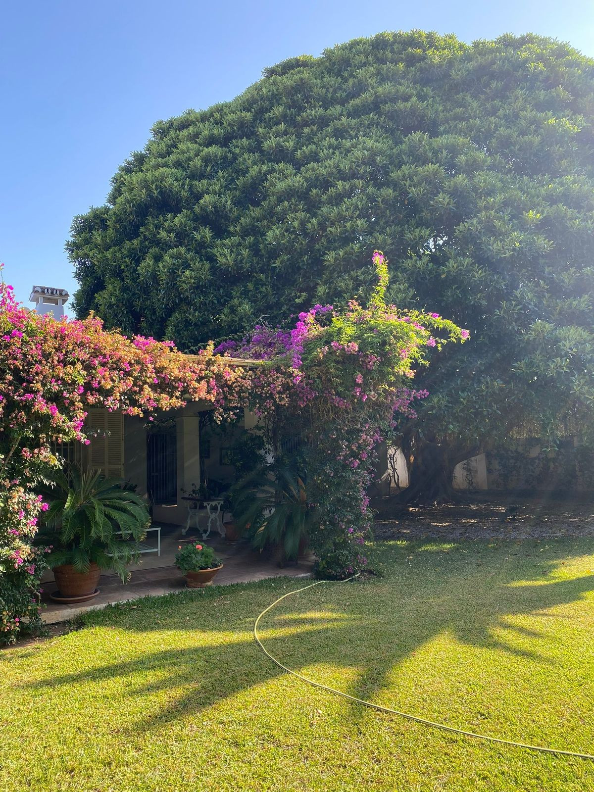 4 Bed Townhouse for sale in Guadalmina Baja Costa Del Sol, Málaga, Spain