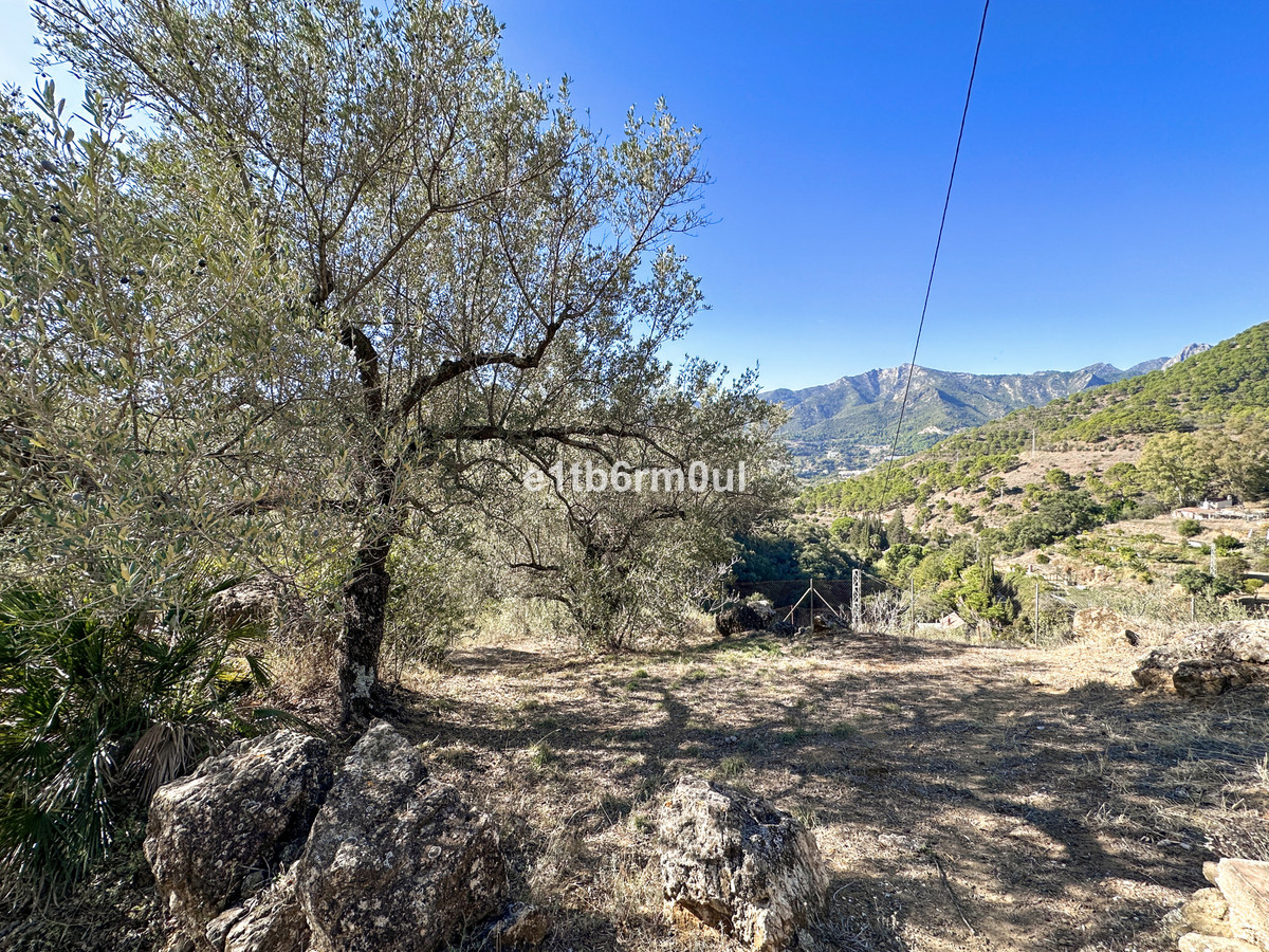 Se vende Finca - Cortijo de 5 dormitorios en Costa Del Sol, Málaga, España