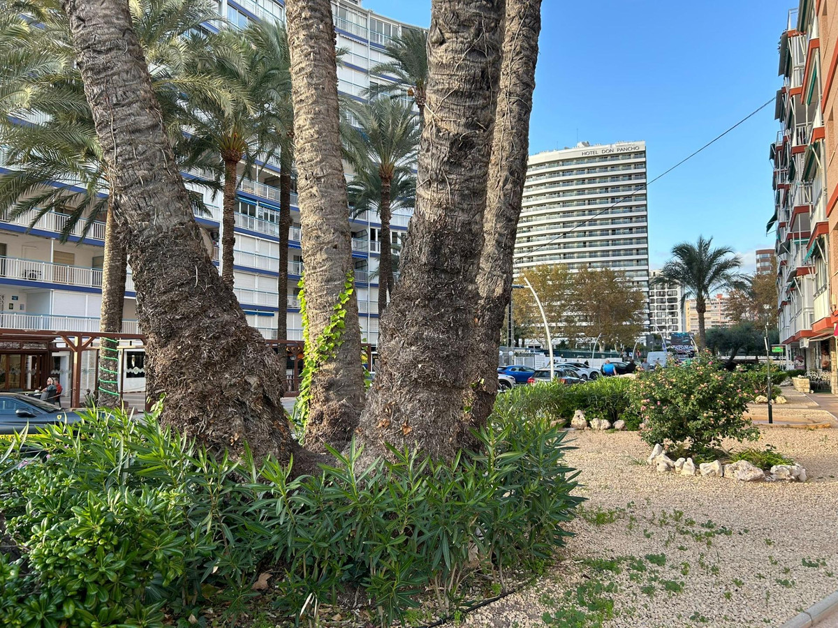 Se vende Apartamento Planta Media de 3 dormitorios en Costa Blanca, Alicante, España