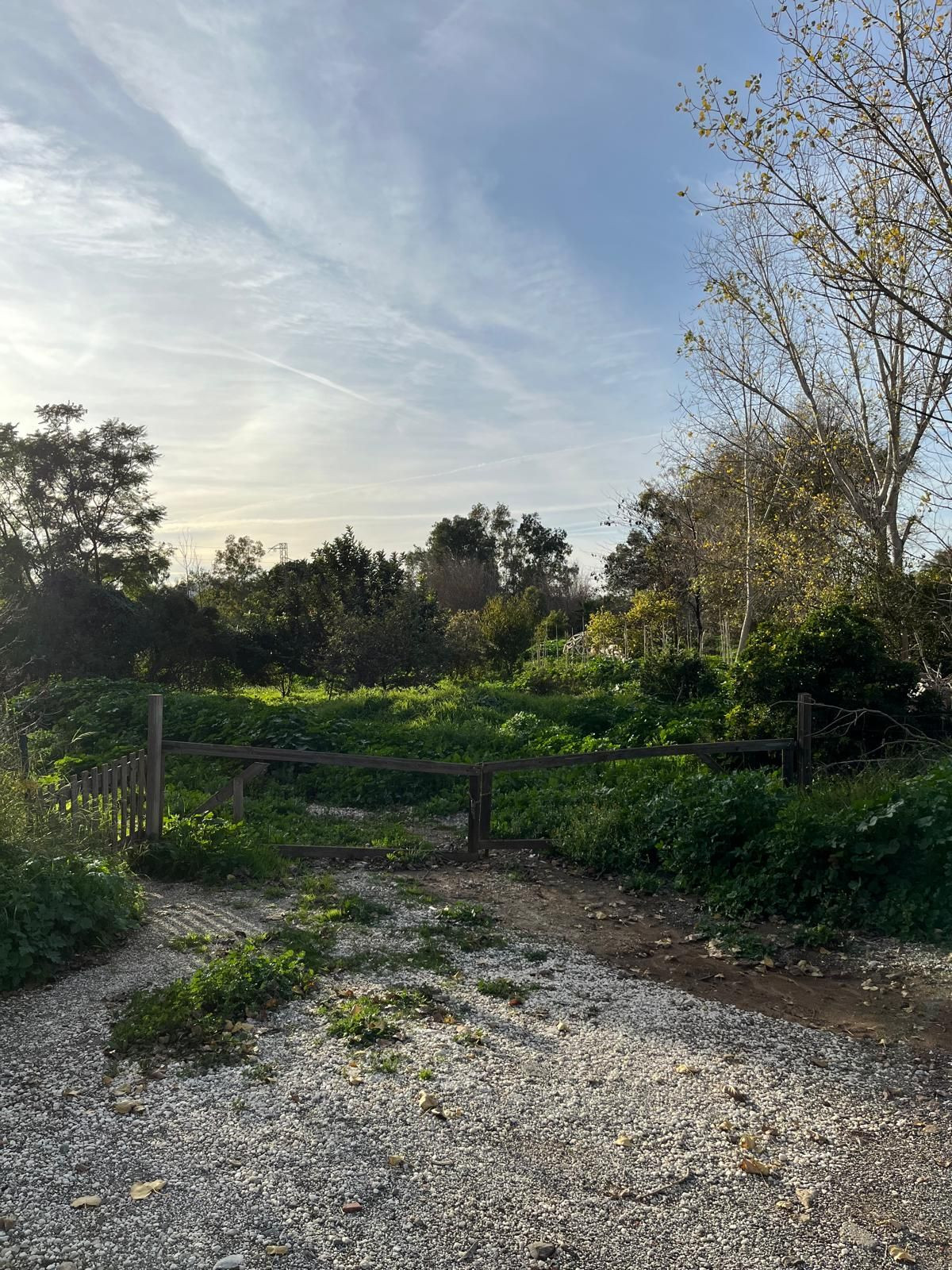 Plots for sale in Campanillas Málaga Ciudad, Málaga, Spain