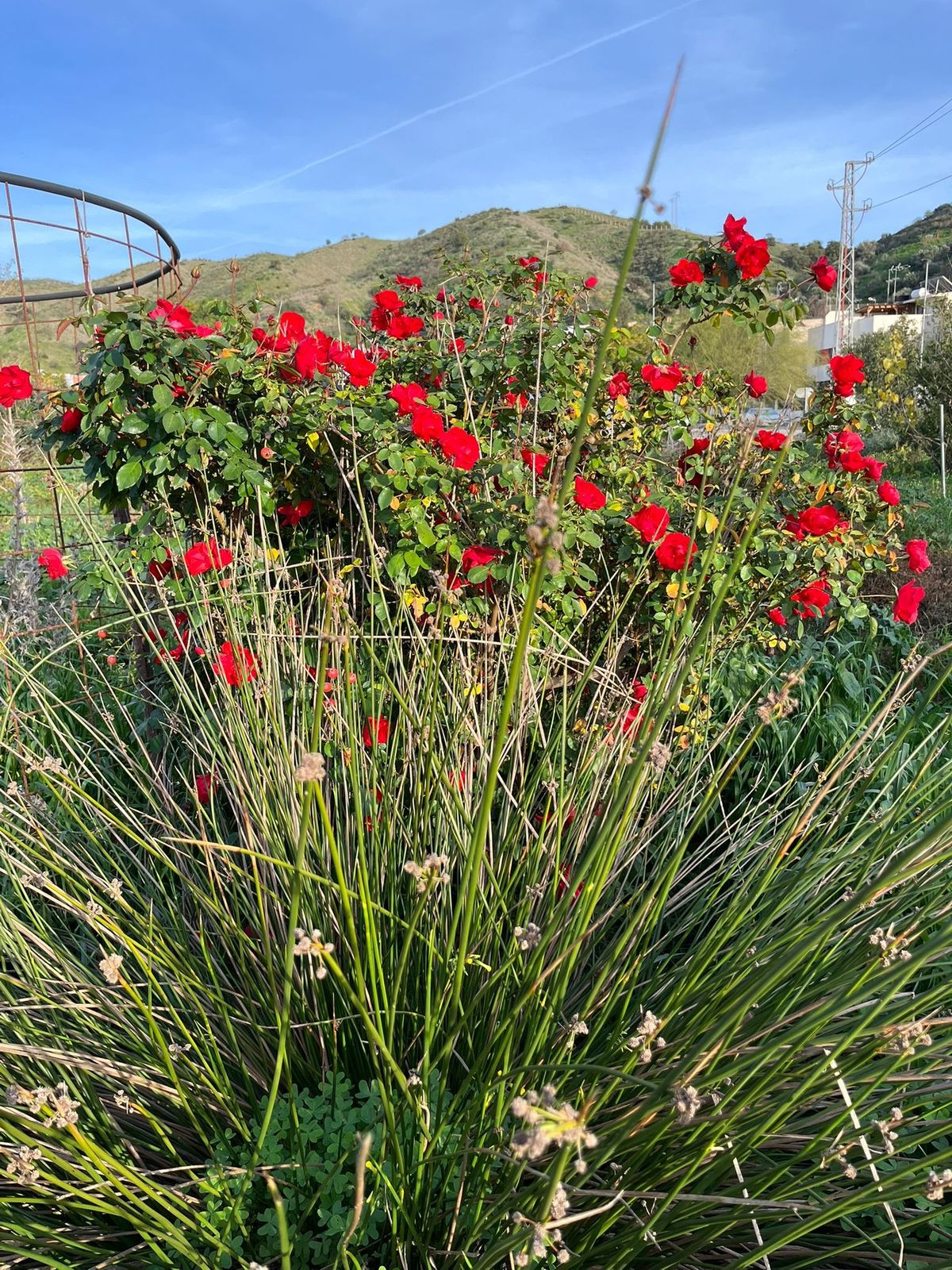 Plots for sale in Campanillas Málaga Ciudad, Málaga, Spain