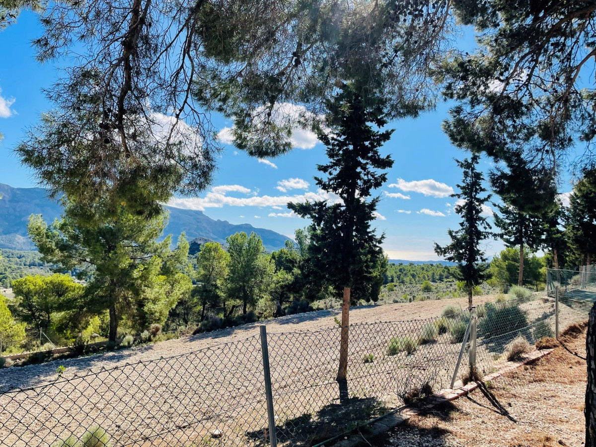 Se vende Finca - Cortijo de 9 dormitorios en Costa Blanca, Alicante, España