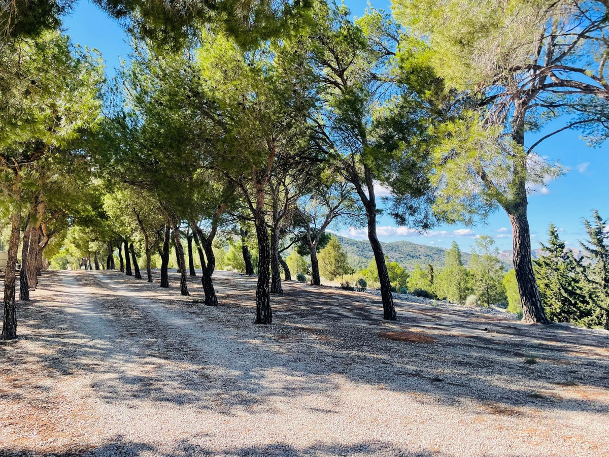Se vende Finca - Cortijo de 9 dormitorios en Costa Blanca, Alicante, España