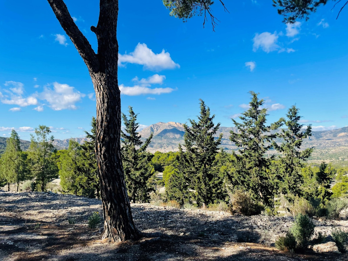 Se vende Finca - Cortijo de 9 dormitorios en Costa Blanca, Alicante, España
