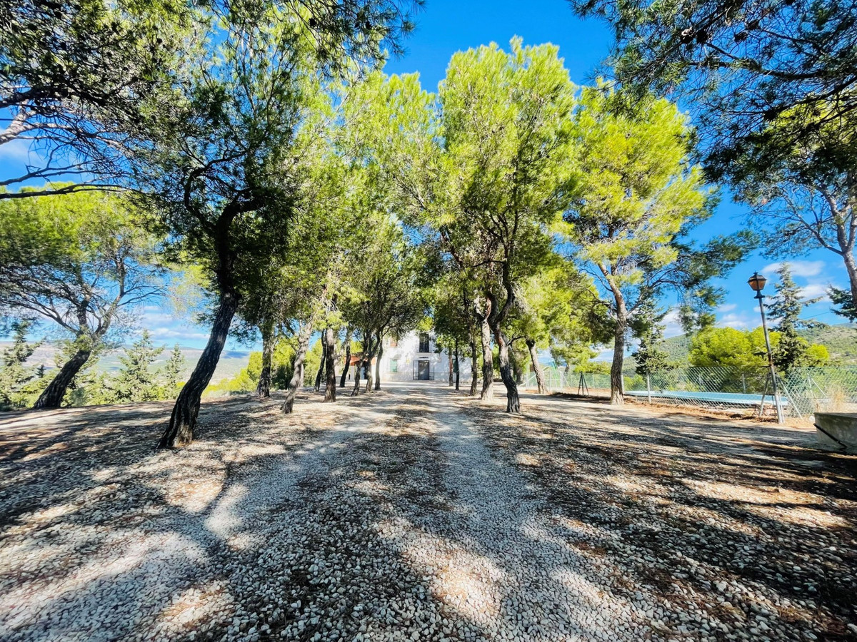 Se vende Finca - Cortijo de 9 dormitorios en Costa Blanca, Alicante, España