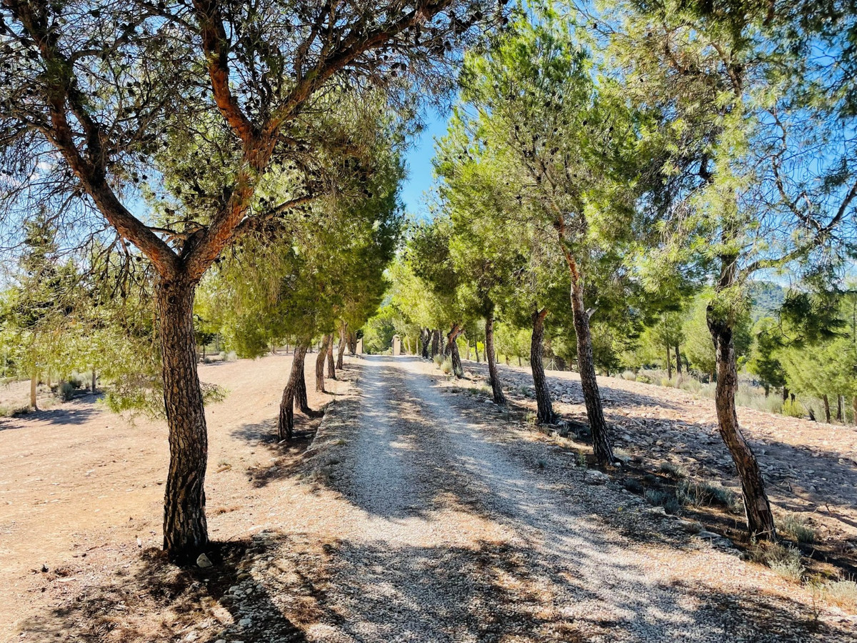 Se vende Finca - Cortijo de 9 dormitorios en Costa Blanca, Alicante, España