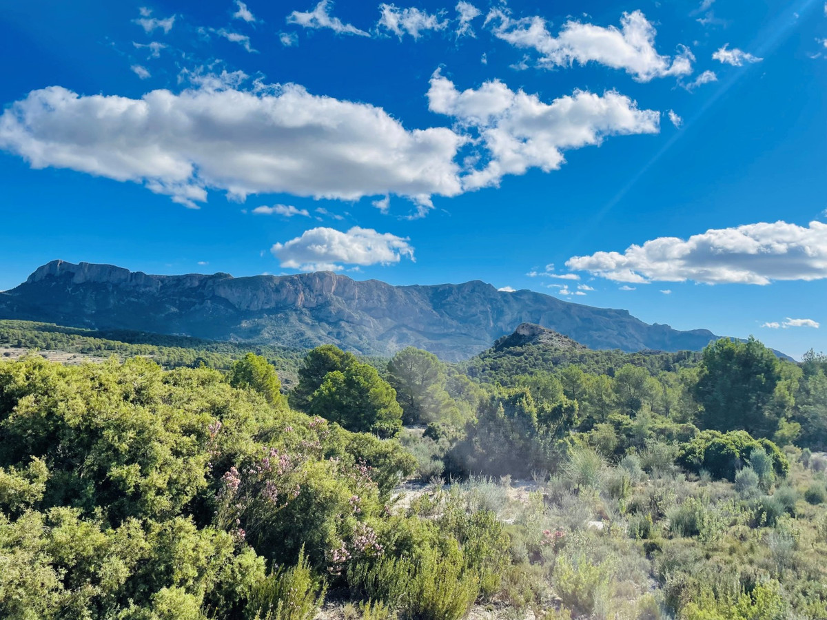 Se vende Finca - Cortijo de 9 dormitorios en Costa Blanca, Alicante, España