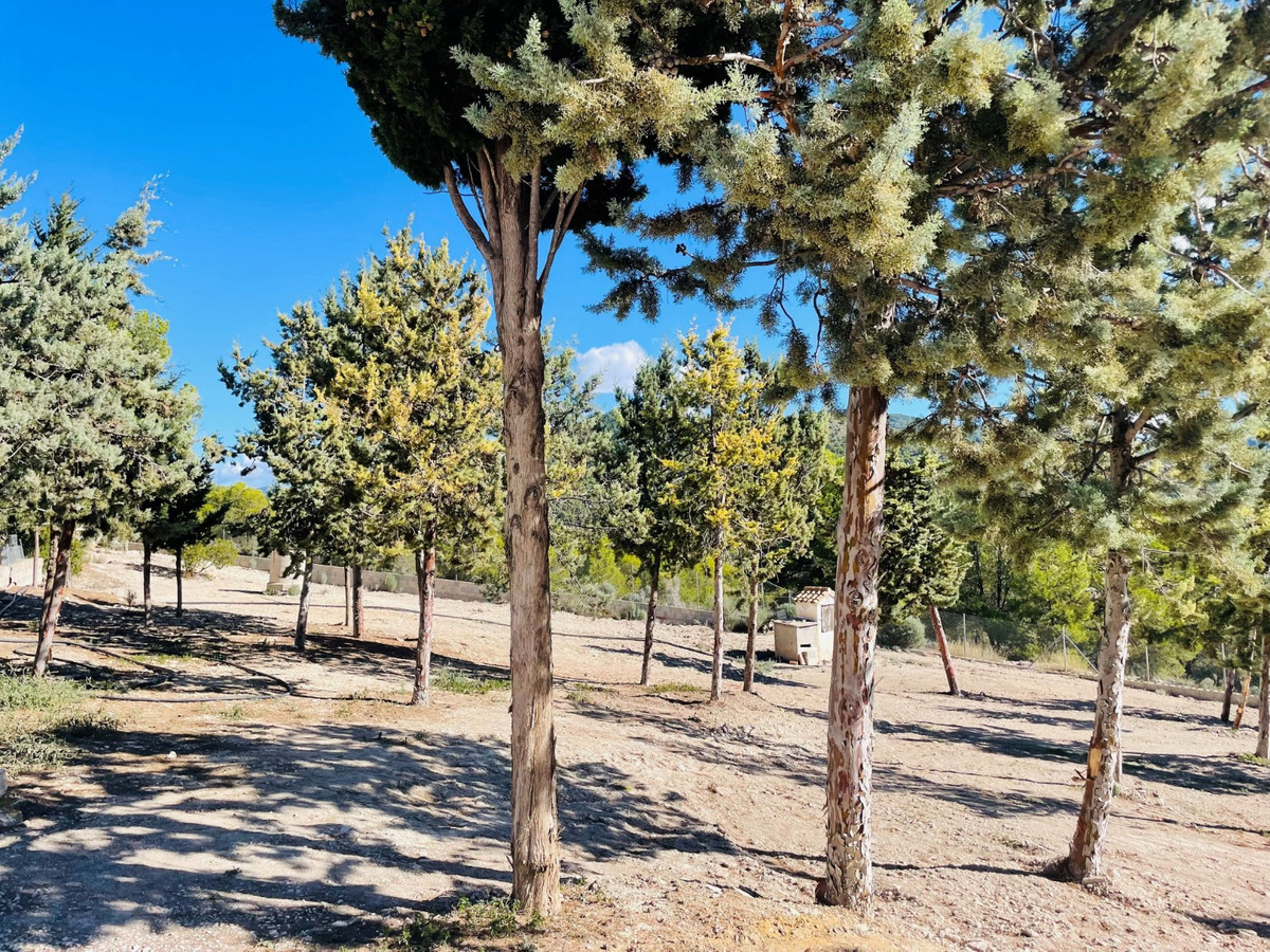 Se vende Finca - Cortijo de 9 dormitorios en Costa Blanca, Alicante, España