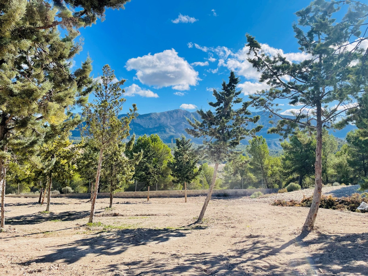 Se vende Finca - Cortijo de 9 dormitorios en Costa Blanca, Alicante, España