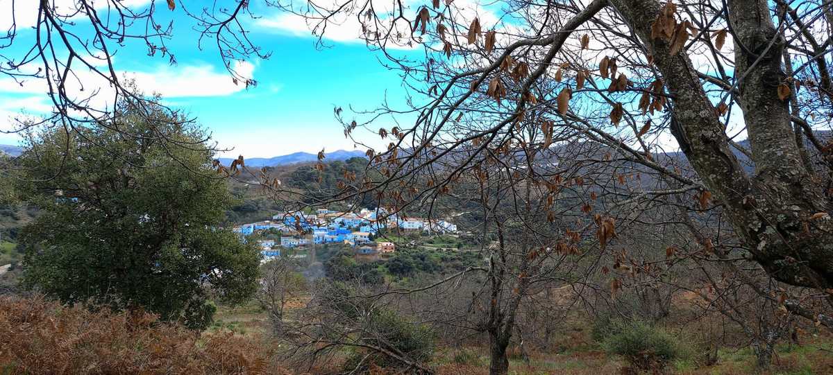 Se vende Terreno Rustico  en Costa Del Sol, Málaga, España