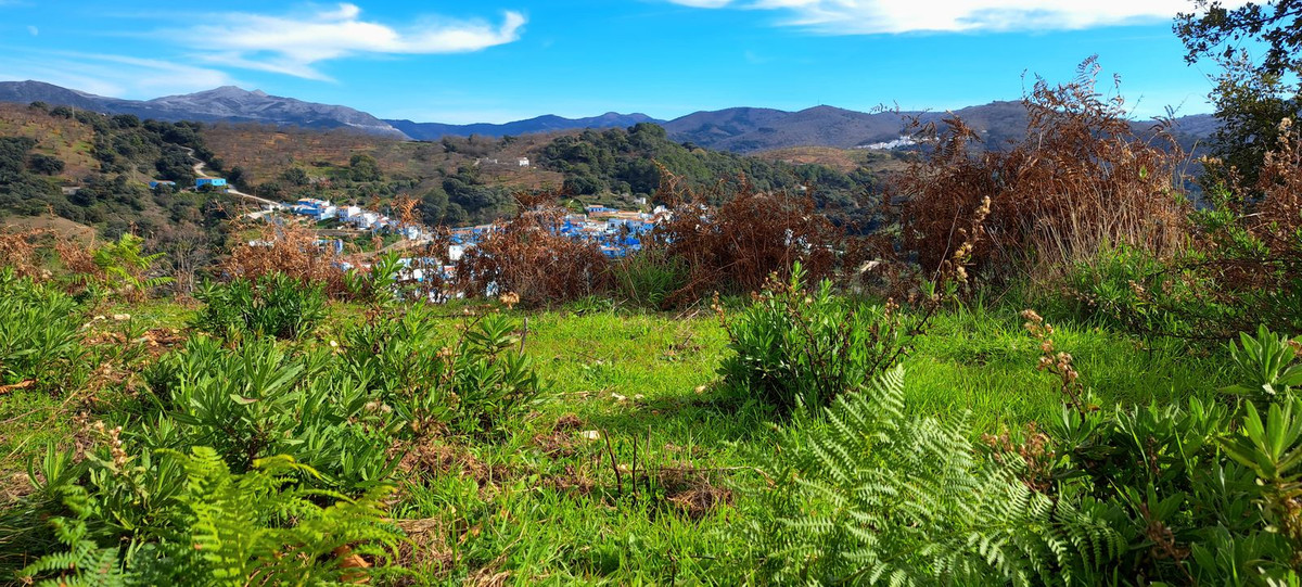 Se vende Terreno Rustico  en Costa Del Sol, Málaga, España