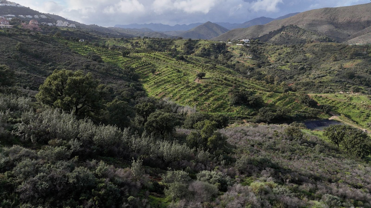 Se vende Terreno Urbano  en Costa Del Sol, Málaga, España