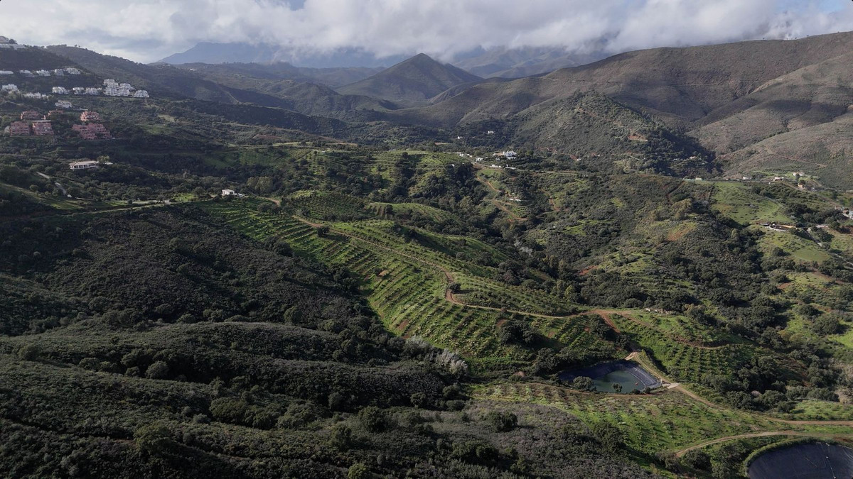 Se vende Terreno Urbano  en Costa Del Sol, Málaga, España