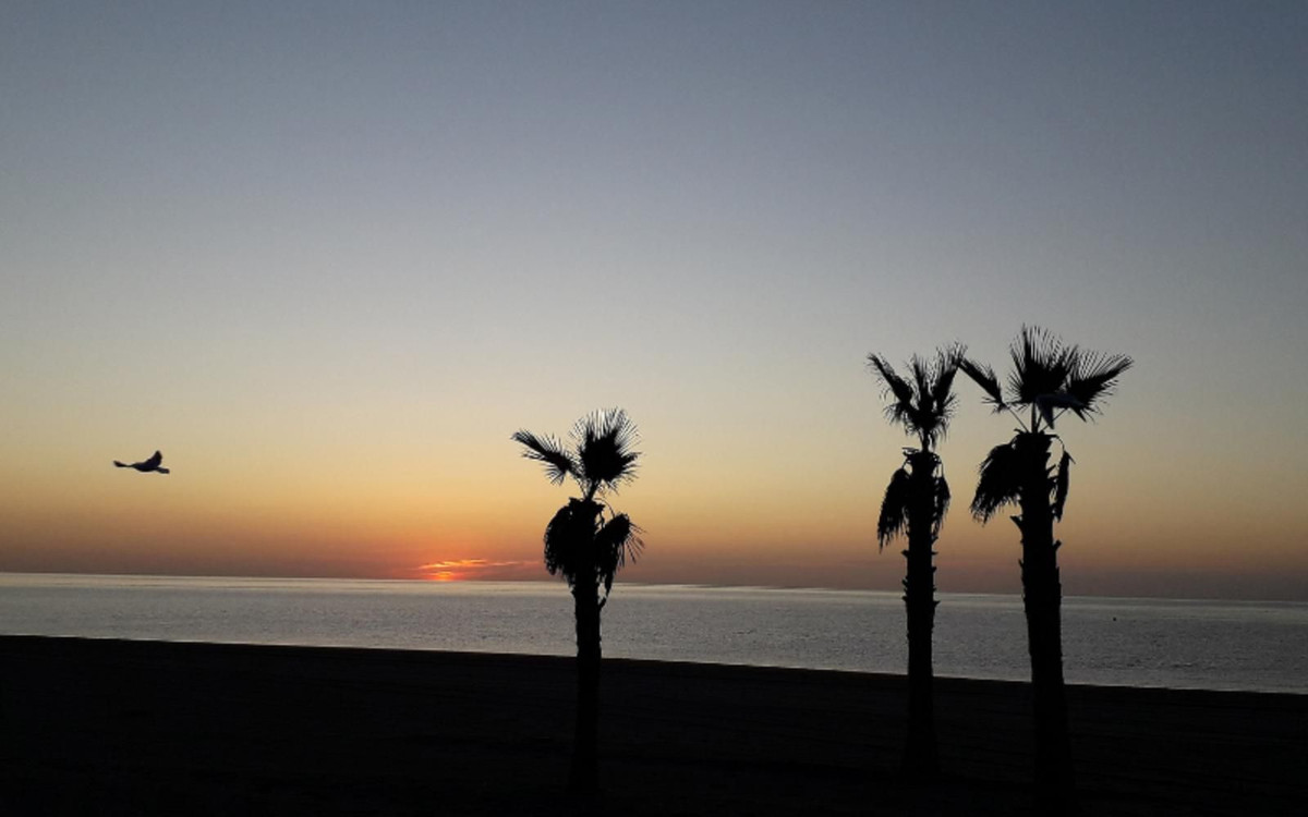 Se vende Hotel de 54 dormitorios en Costa Del Sol, Málaga, España