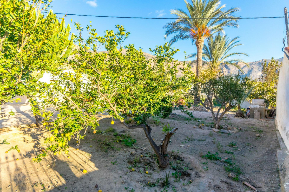 Se vende Finca - Cortijo de 4 dormitorios en Costa Blanca, Alicante, España