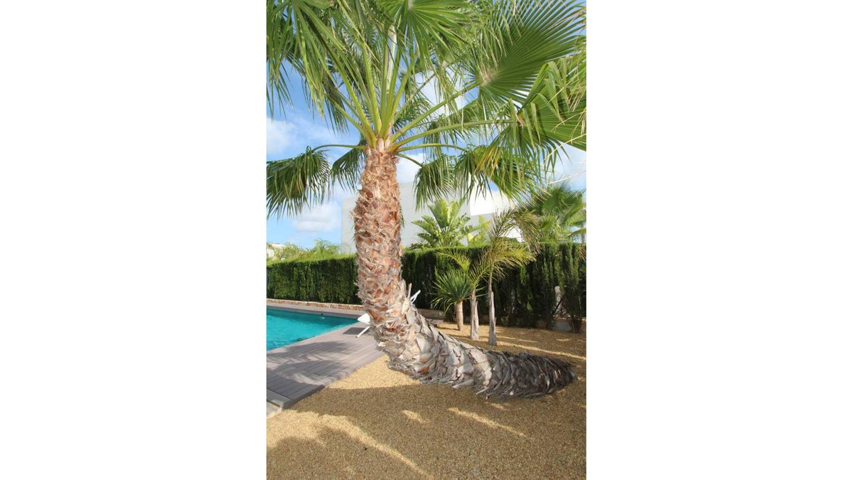 Se vende Villa - Chalet de 3 dormitorios en Costa Blanca, Alicante, España