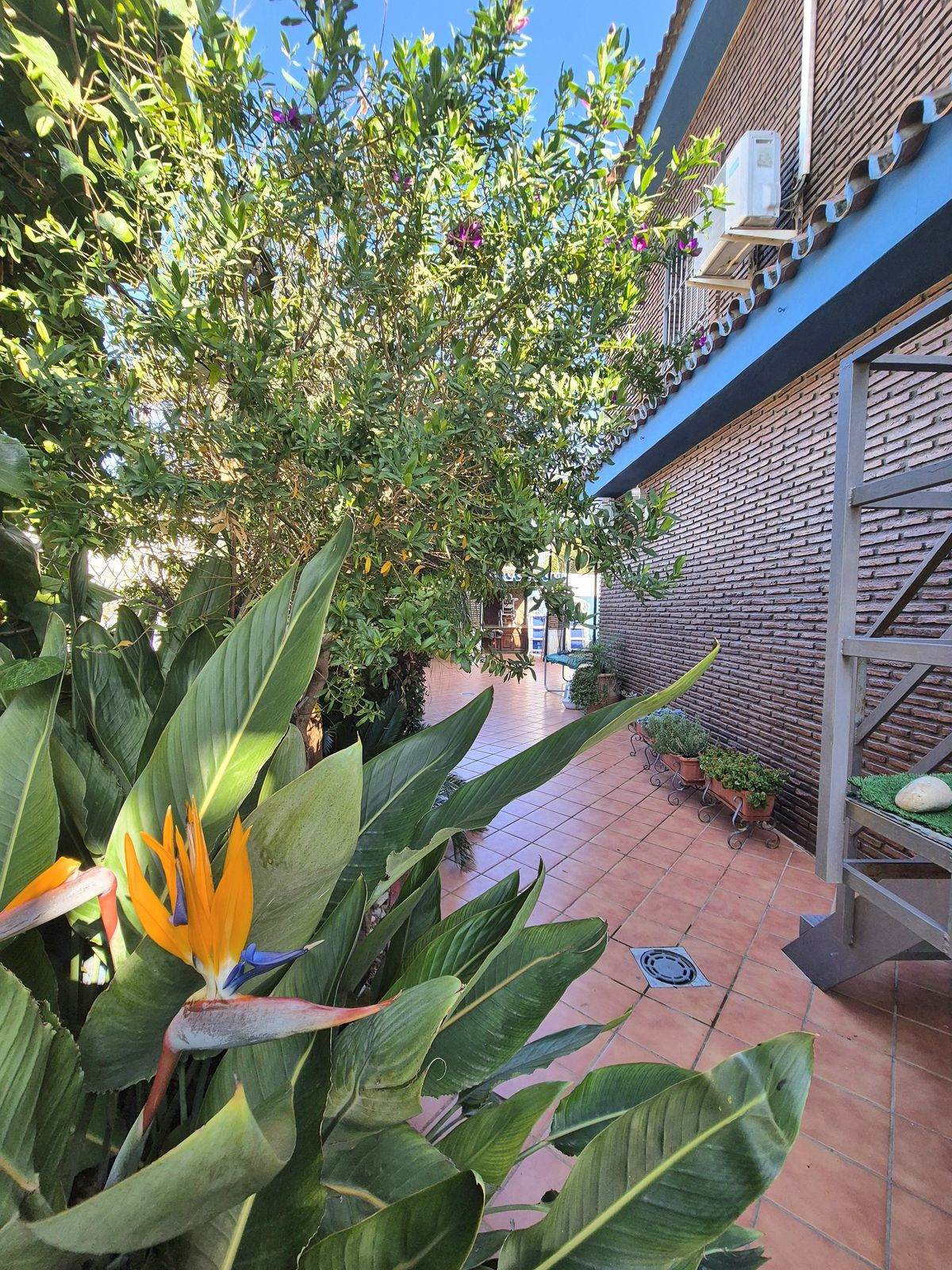 Se vende Pareada de 4 dormitorios en Costa Del Sol, Málaga, España