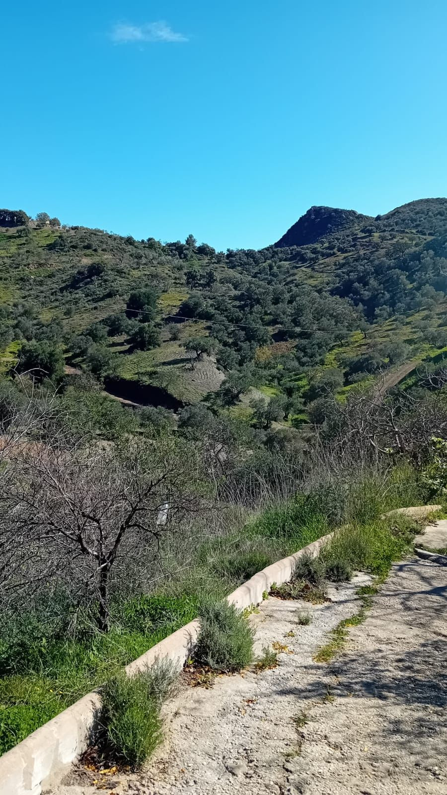 Se vende Finca - Cortijo de 4 dormitorios en Costa Del Sol, Málaga, España
