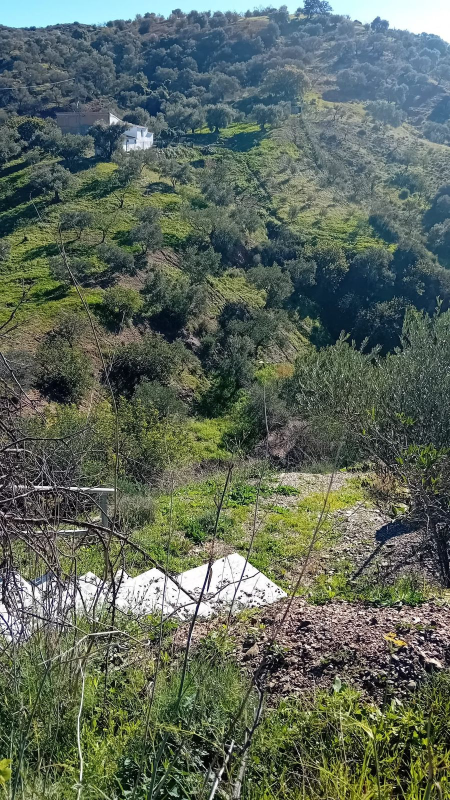 Se vende Finca - Cortijo de 4 dormitorios en Costa Del Sol, Málaga, España