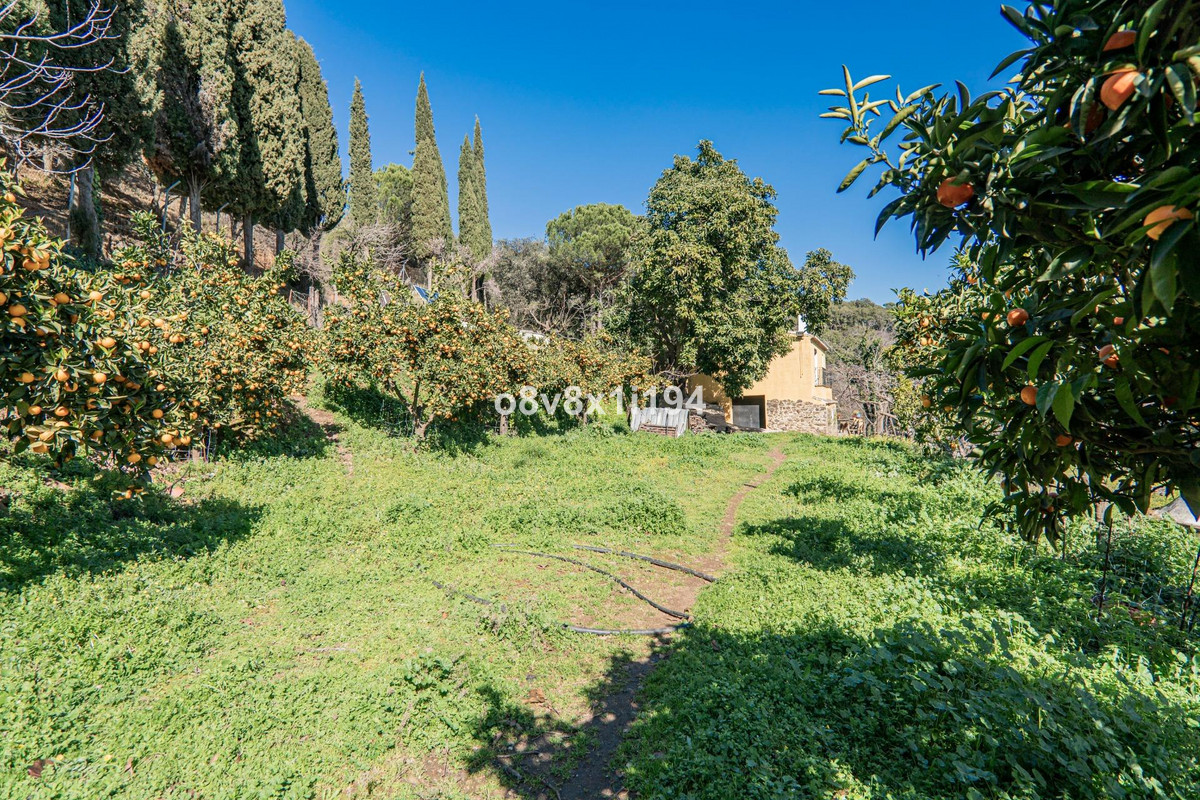 Se vende Finca - Cortijo de 5 dormitorios en Costa Del Sol, Málaga, España