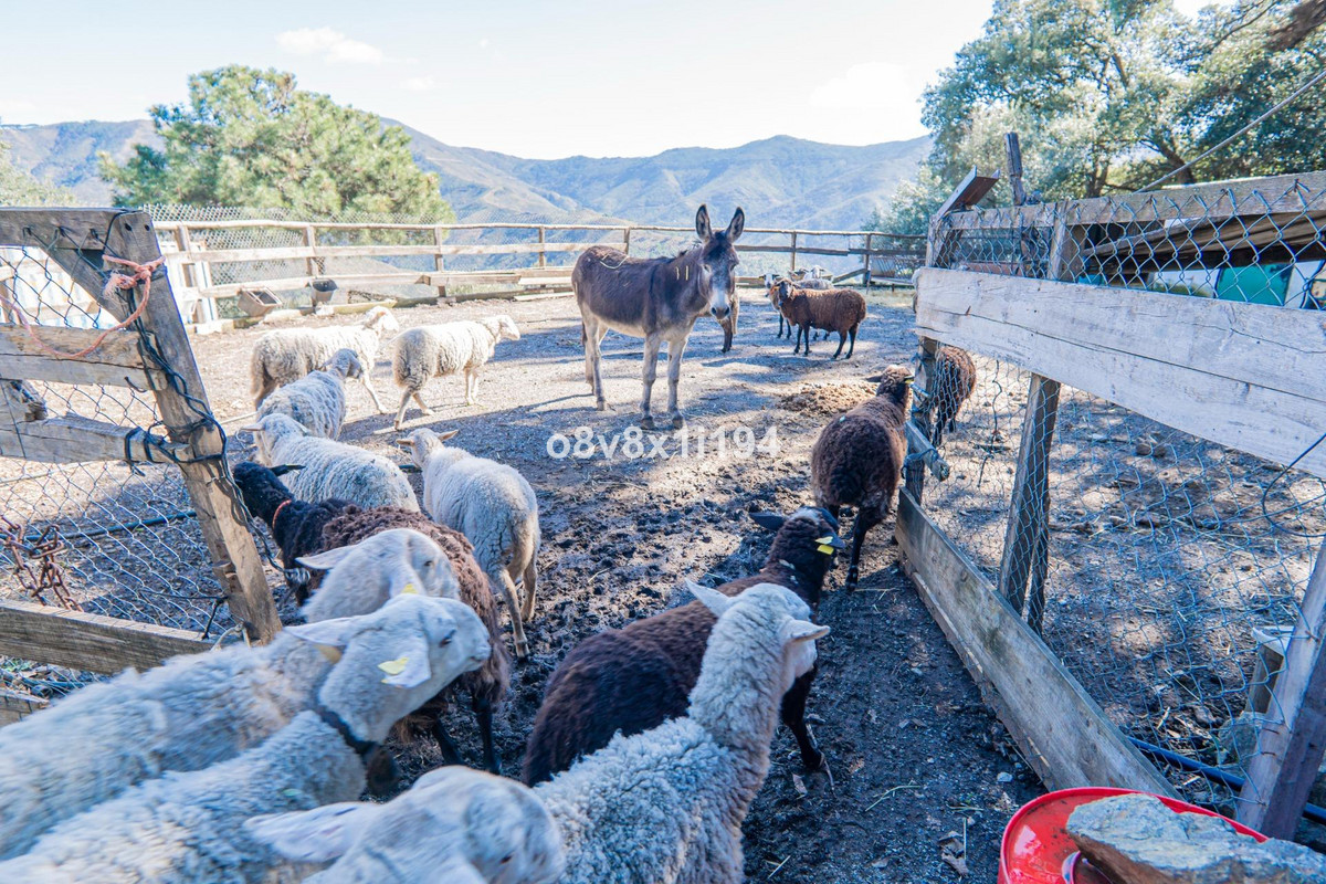 Se vende Finca - Cortijo de 5 dormitorios en Costa Del Sol, Málaga, España