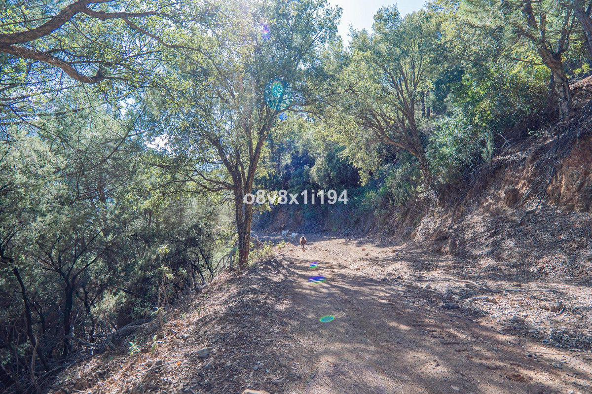 Se vende Finca - Cortijo de 5 dormitorios en Costa Del Sol, Málaga, España
