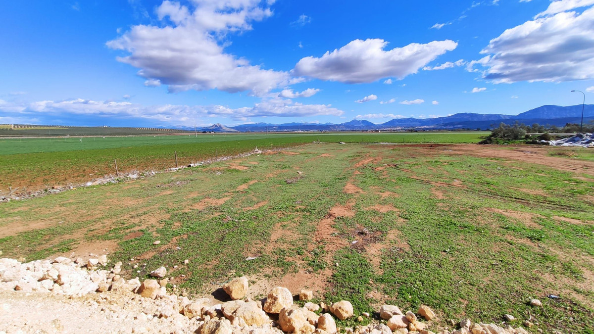 Se vende Terreno Rustico  en Costa Del Sol, Málaga, España