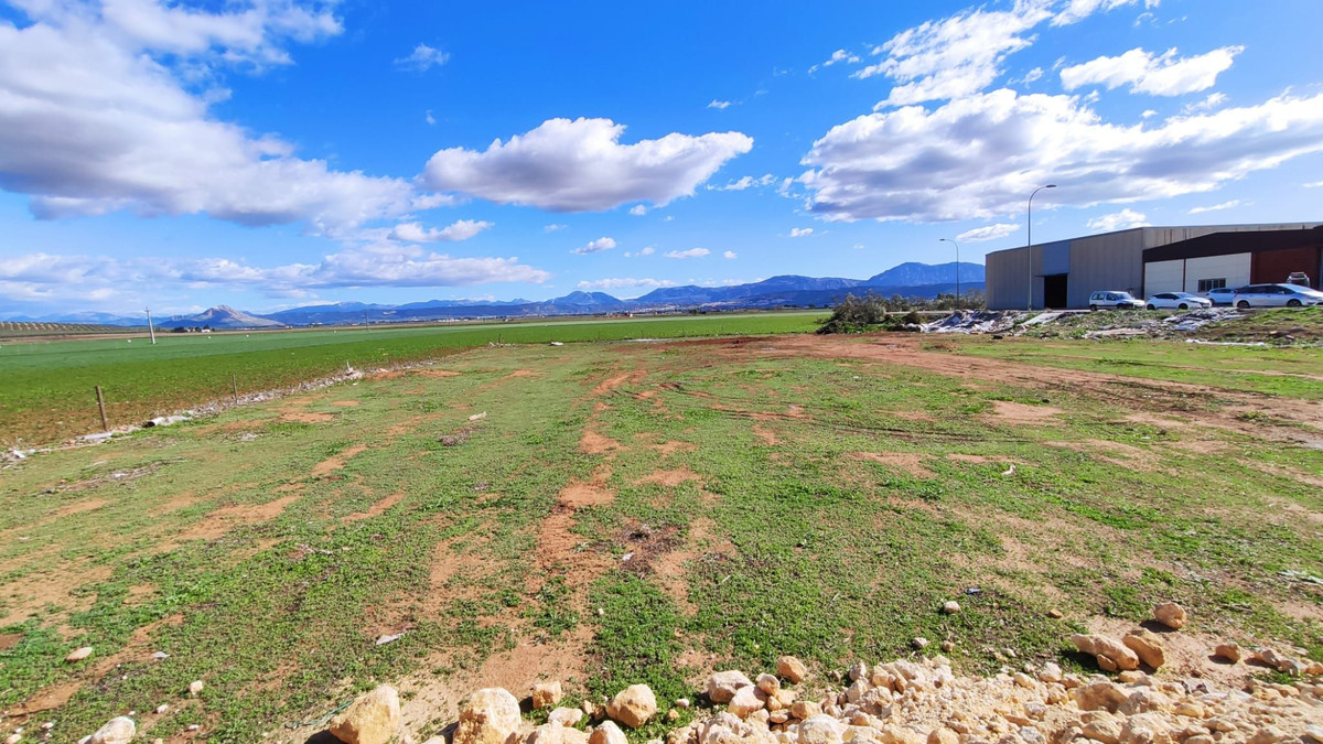 Se vende Terreno Rustico  en Costa Del Sol, Málaga, España