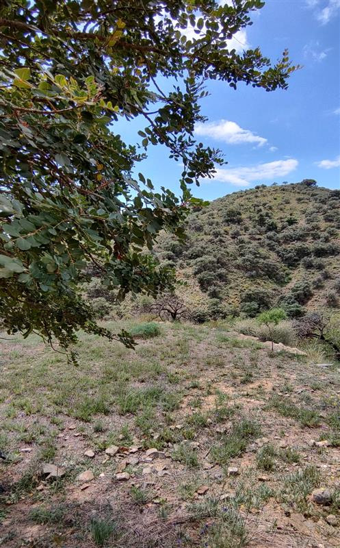 Se vende Terreno Rustico  en Costa Del Sol, Málaga, España