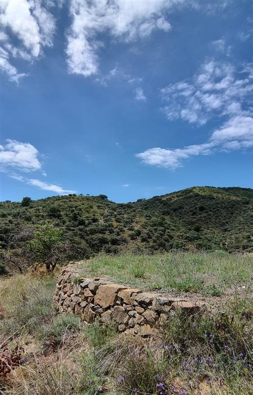 Se vende Terreno Rustico  en Costa Del Sol, Málaga, España