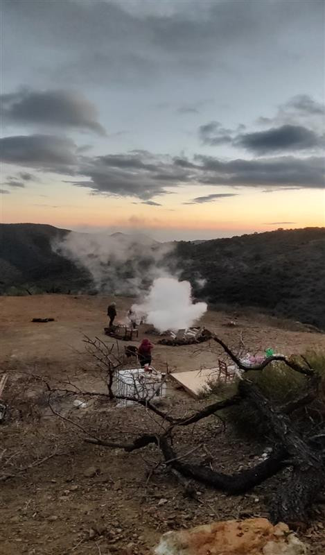 Se vende Terreno Rustico  en Costa Del Sol, Málaga, España