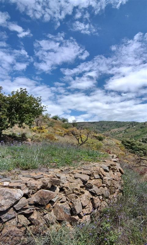 Se vende Terreno Rustico  en Costa Del Sol, Málaga, España