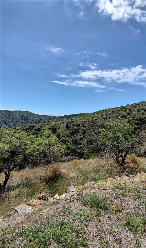 Se vende Terreno Rustico  en Costa Del Sol, Málaga, España