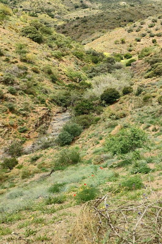 Se vende Terreno Rustico  en Costa Del Sol, Málaga, España