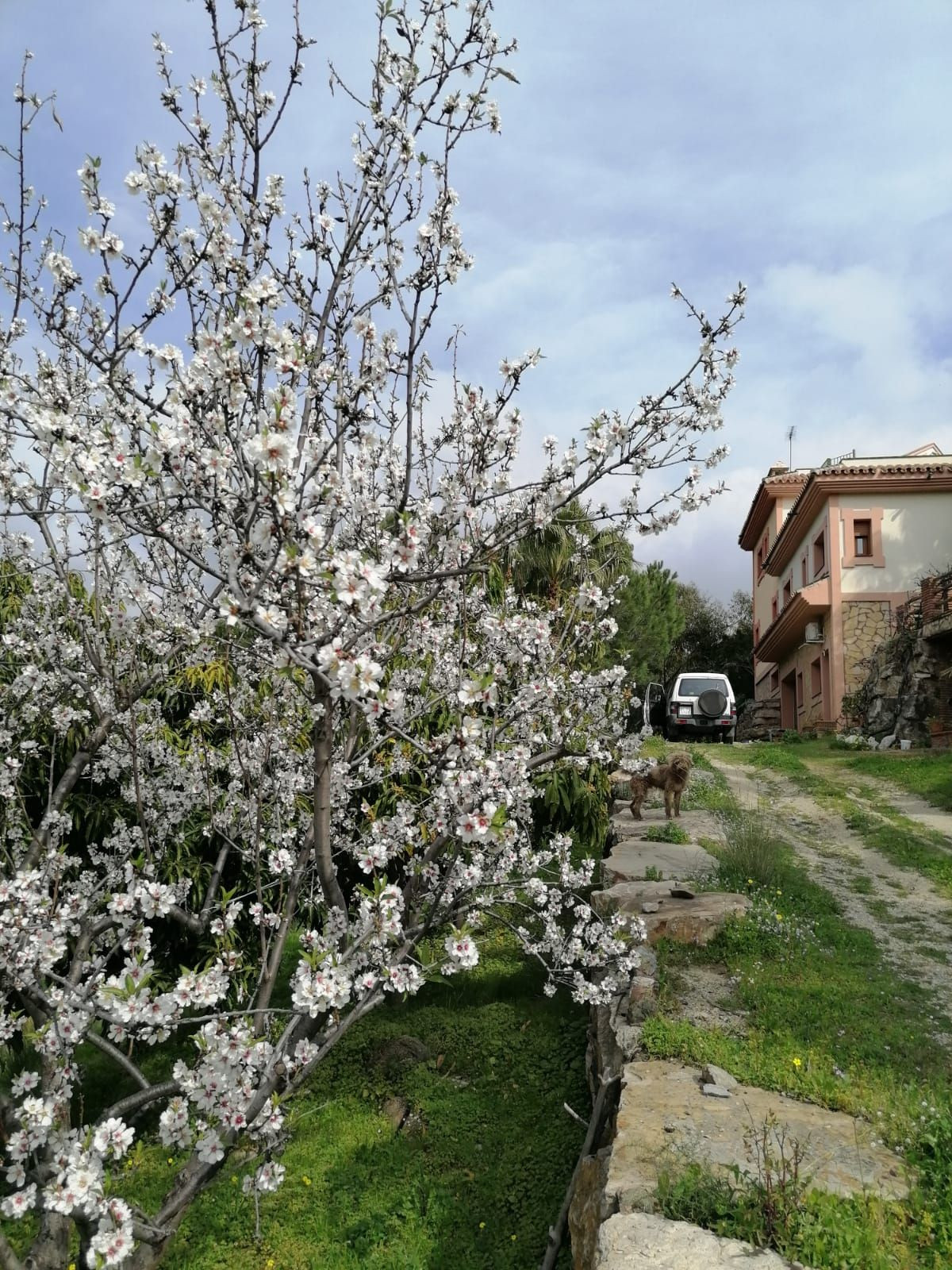 4 Bed Townhouse for sale in Selwo Costa Del Sol, Málaga, Spain