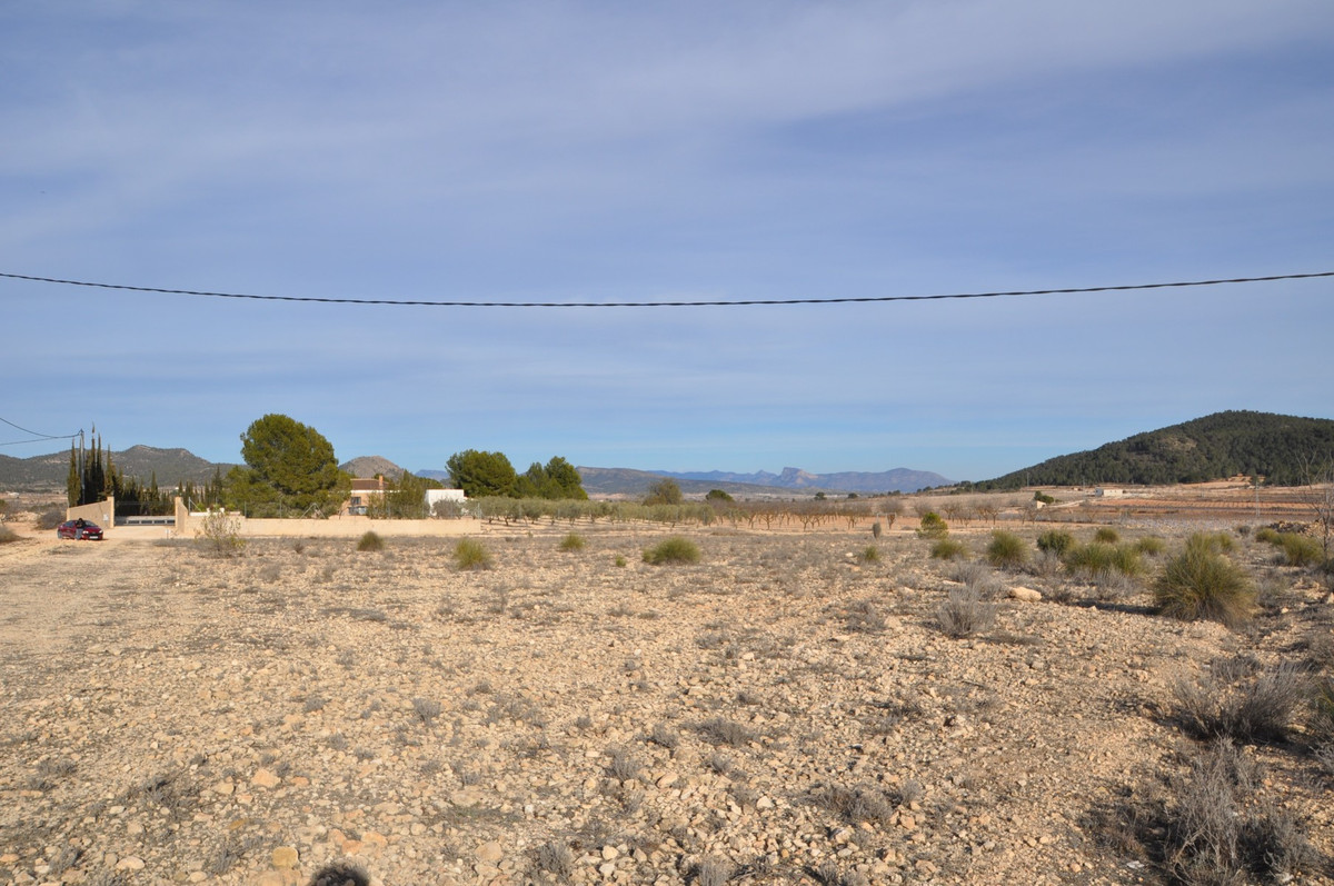Se vende Terreno Rustico  en Costa Blanca, Alicante, España