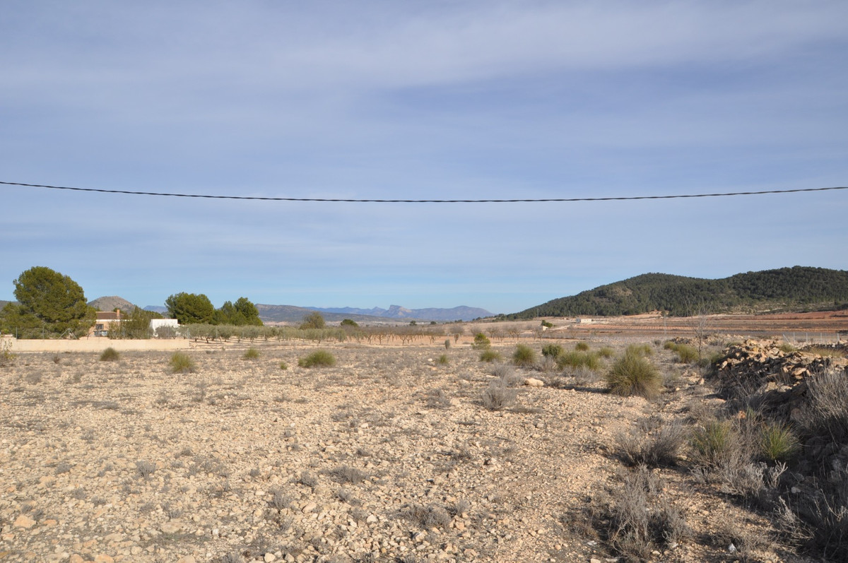 Se vende Terreno Rustico  en Costa Blanca, Alicante, España